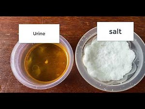 3 Days Pregnancy TEST With Salt