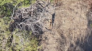 Mission Viejo UAV - Social Media Video