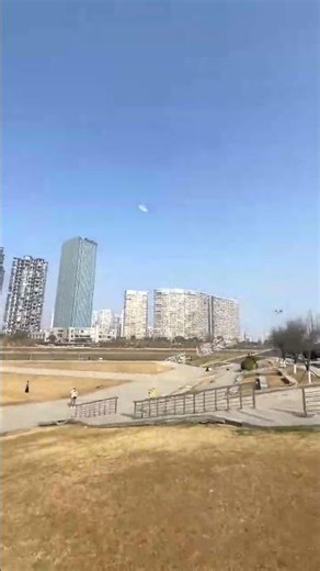 Cute Pet # The Result Is Unexpected