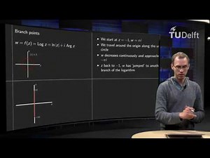 What is a branch point?