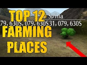 12 Best Active Farming Spots To Make SPINA - Toram Online