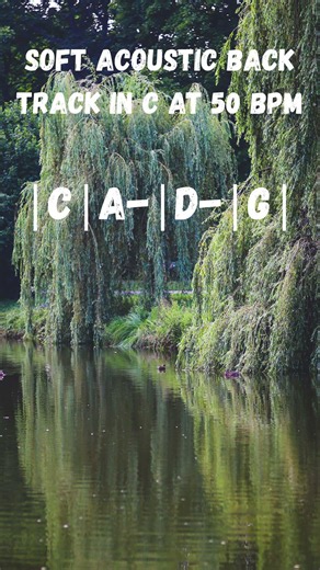 Soft Acoustic Back Track Loop in C