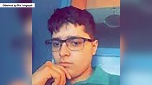 Who is the viral Portland frog? What to know about the costumed protester