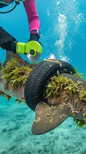 34K views · 165 reactions | Diver Saves Entangled Shark From Deadly Ocean Debris! #rescue #animals #wildlife | Team Emotions | Facebook