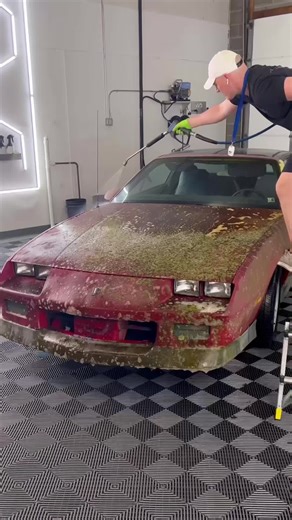 Expert Car Wash Techniques for a Pristine Shine