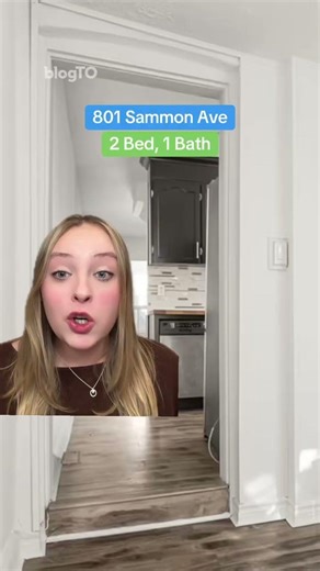 Toronto house is under $600,000 but is also less than 4 metres wide