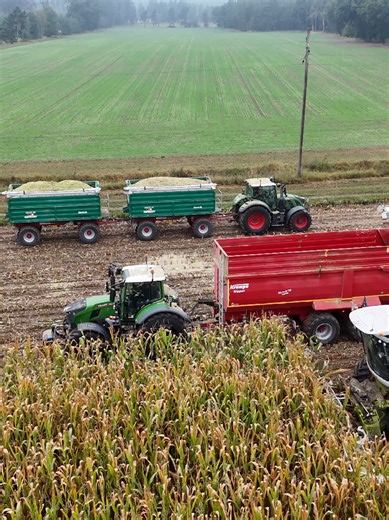 @hinrichheemsoth #claas #claasjaguar940 #fendt #maisernte #landwirtschaft