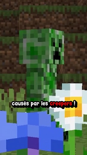 Minecraft a enfin réglé ce problème ! #Multicort #Viral