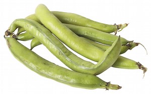 The Bean Varieties for Hot Weather