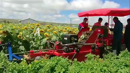 Automatic Potato Harvesting Equipment Heavy-Duty Potato Digger Large Efficient Potato Harvester Machine For Farm