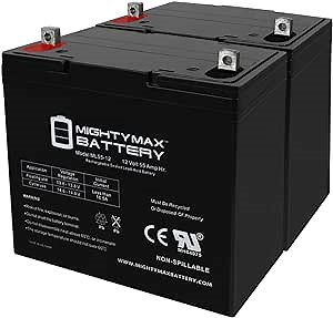 Mighty Max Battery 12V 55Ah SLA Battery Replacement for Amstron AP12-55 - 2 Pack
