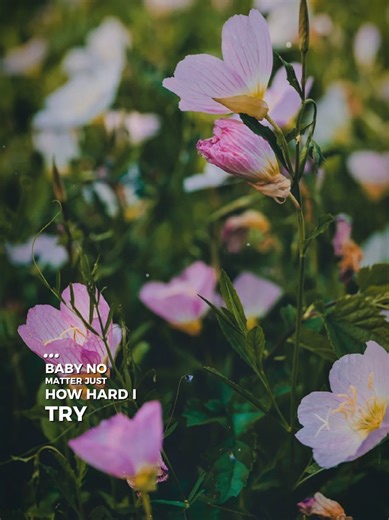 say you will say you will be mine... #bkmuzic #nhachaymoingay | say you will