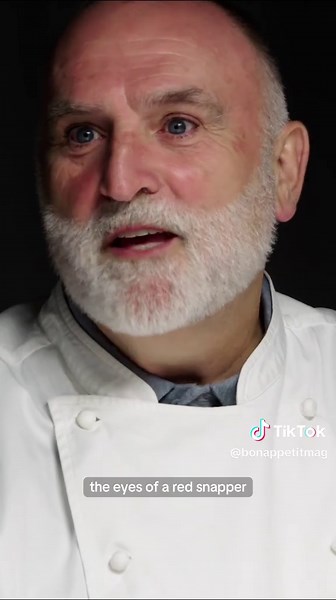 Lungs in Ragù: Mediterranean Culinary Secrets