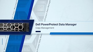 Centralized Backup Copy Management via PPDM UI