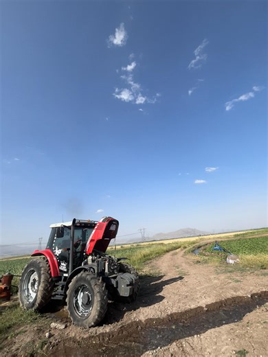 Discover the Power of Massey Ferguson 5450 Dyna4