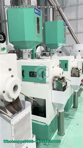 40T/D Rice Processing Machine | Rice Mill Plant Supplier #ricemillsupplier #ricemill