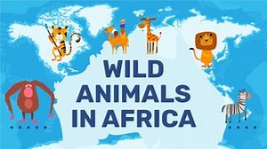 Wild animals in Africa