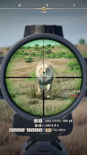 Two HUGE Lions Charged Me - Way of the Hunter 2