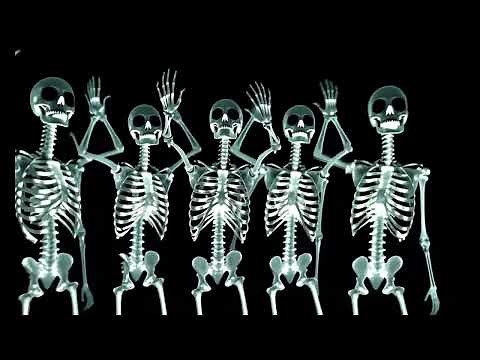 Terrifying Skeletons Dancing in the Dark | Perfect for Halloween Window Display