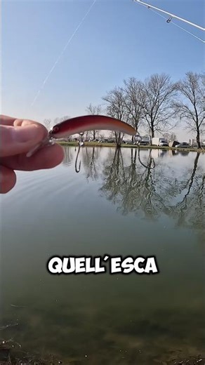 THAT CRANK MAKES THE DIFFERENCE! 4th Trout in the Pond!
