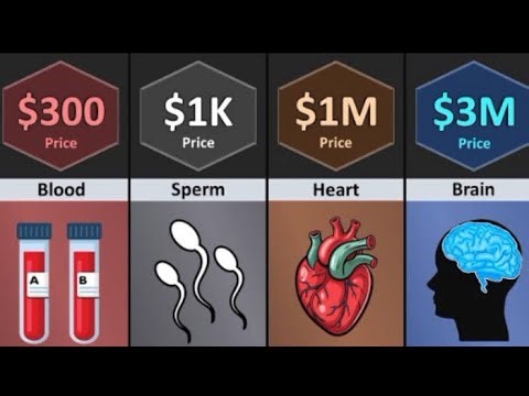 Price of Human Body Parts