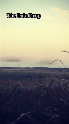 The “Black Sun” Phenomenon | Shape‑Shifting Bird Clouds