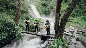 Trio Alborada Hidalguense El escalón | CANAL ::: Mexico Impulsando La Música Huasteca
