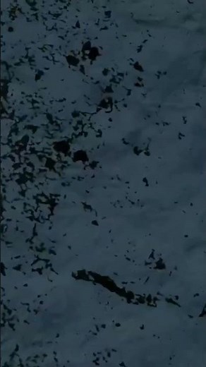 Enemy front gameplay walkthrough falls best moment💯