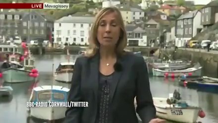 ,Seagull, divebombs Vicki Young's piece to camera