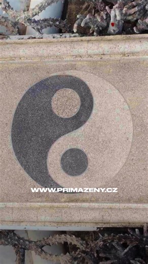 Soutěžte s pořadem Asia Express Česko o dovolenou od Invia! 🌏 Hrajeme o dárkový poukaz na 50 000 Kč a hlavní výhru: Zájezd po stopách závodu za 150 000 Kč. ➡️ https://zeny.iprima.cz/soutez-s-asia-express-na-dovolenou-od-invia-1-505137 #asiaexpresscz | CNN Prima NEWS