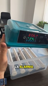 🔧📟 ¿Sabes qué hace COMO FUNCIONA cada botón del panel de control de tu incubadora? En este video te explicamos paso a paso cómo funciona el panel: ajuste de temperatura, control de humedad, rotación de huevos y alarmas, para que tengas el control total del proceso de incubación. Un buen manejo del panel es clave para lograr nacimientos exitosos y pollitos sanos. 🐣💡 | Incubadoras Konecta