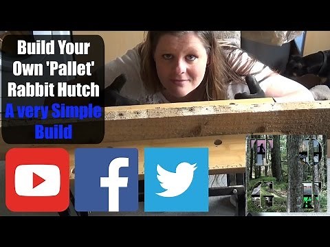 How To Build A Simple 'Pallet' Rabbit Hutch Part One | A Beginners Guide | Simple Woodworking Tips |