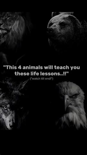 No Noise. Just Results. ☠️🔥