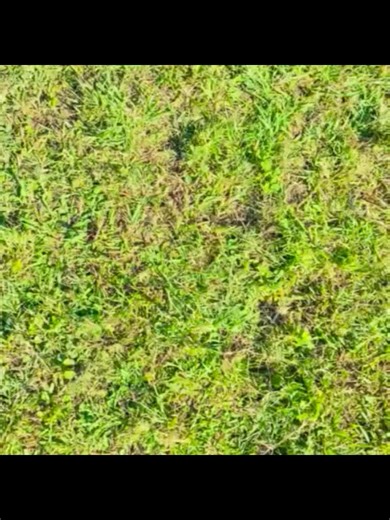 Muncane umuthi bafana kudibha eZenduna kuphela 🔥⚽️🎵. Yith uLundi aMahlabathi 🔥🤝.