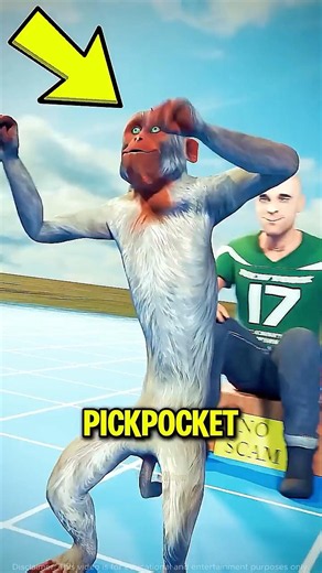 The Dancing Monkey Might Not Be the Real Trick 😳🐒
