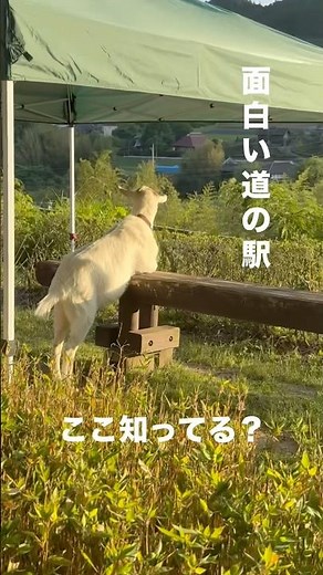 茨城県で一番小さい道の駅、知ってる？😳