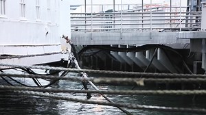 Harbor, Ship, Port. Free Stock Video