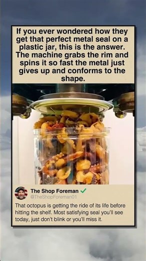 1 SPIN AND ITS TOTALLY SEALED