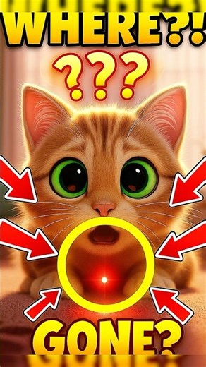 Cat Loses His Mind Chasing a Laser Pointer 😹