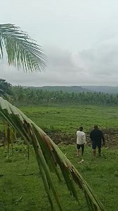 Sa nag hahanap po ng vedio ni 2.7 hectare 👇👇 Sa nag hahanap po tabing kalsada Napaka Ganda farm pag baba mo property na 👇👇 Farm Land Rush for Sale 👉2.7 hectares total land area 👉more or less 1 hectare(palayan/maisan) 👉May tanim na Niyog at Saging 👉1.7 hectares(niyogan) 👉Along brgy Road 👉Solo Title 👉Buhay si Seller 👉Walking distance sa dagat-approx.2-3 mins)) 👉With access of electricity 👉May source din ng tubig 👉15-20 mins.drive from town proper 👉6-7 hrs.drive from Manila Location