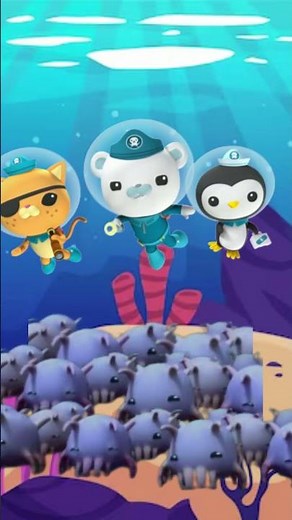 The Octonauts' Encounter with the Enigmatic Sea Pigs"|@octonauts - the sea pig
