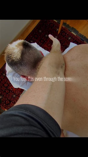 Farid Pateev on Instagram: "Where technique meets instinct. . . #neck #pain #massage #technique #oriental #muscle #fyp"