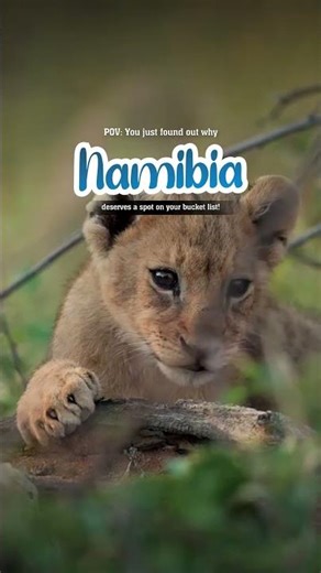 Explore the Beauty of Namibia ✨ | Desert Dunes, Wildlife & Stunning Landscapes