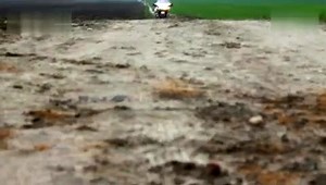 宝马重型旅行摩托车 BMW K1200LT