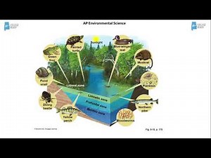 AP Environmental Science Aquatic Ecosystems Intro through Freshwater Ecosystems