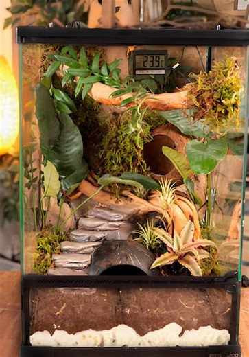 5-Minute Crafts S02:E24 - DIY Crafts for Pets: Creative Projects for Your Friends