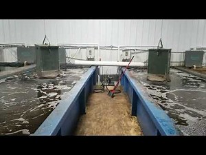 Airprax Micro Bubble Diffusers -- Aquaculture