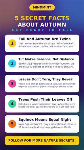 5 Facts About Autumn You Didn't Know