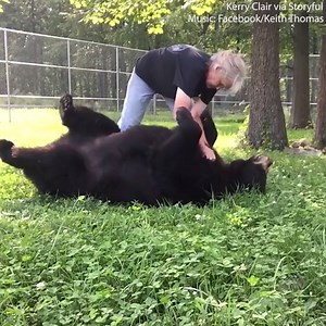 5.6K views · 45 reactions | This bear loves getting beautified  | Daily Mail Video | Facebook