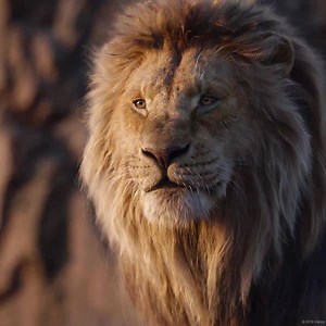 Warum wollt ihr DER KÖNIG DER LÖWEN sehen? 👑🦁 | Disney